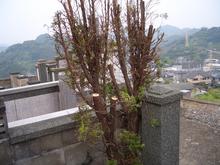 クリックで拡大
